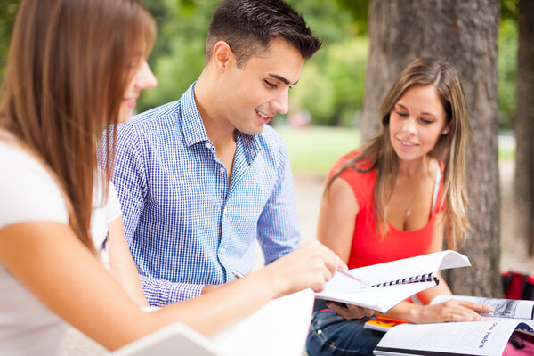 Students studying in a park