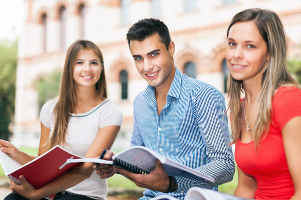 Students studying in a park