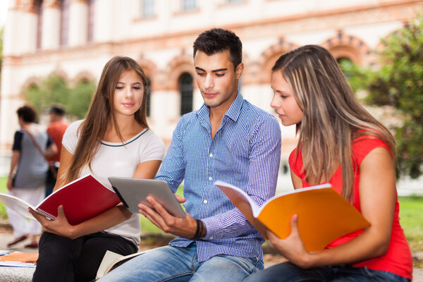 Students studying in a park