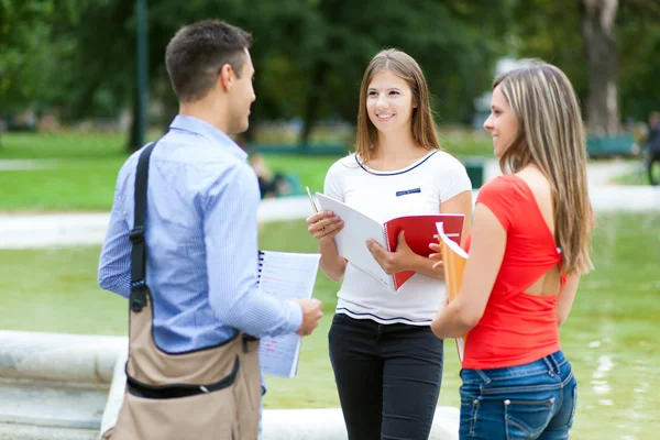 Les jeunes étudiants parlent en plein air — Photo