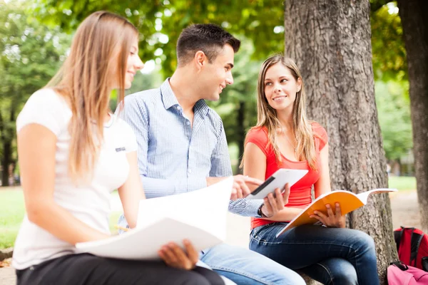 Students talking in a park Stock Image