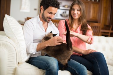 Onların kedi ile oynarken Çift