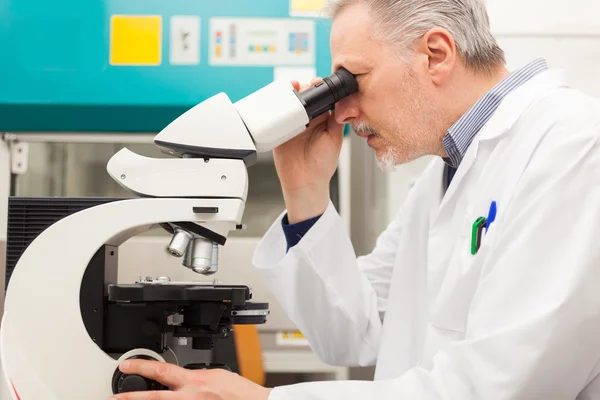 Onderzoeker op het werk in laboratorium — Stockfoto