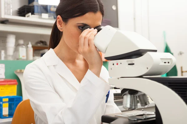 Onderzoeker aan het werk in een laboratorium — Stockfoto