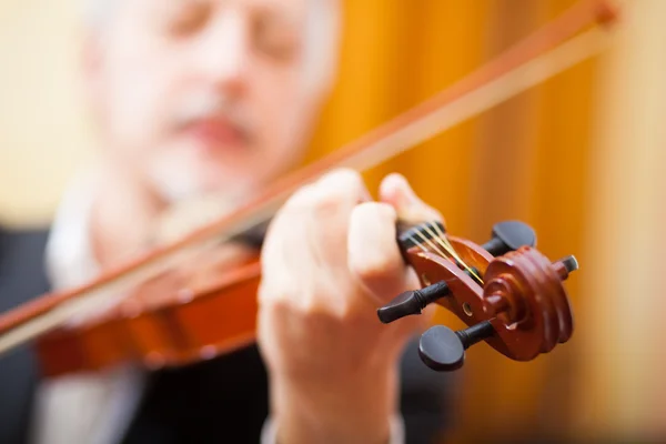 Músico tocando su violín — Foto de Stock
