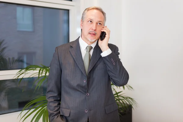 Empresário falando ao telefone — Fotografia de Stock