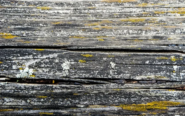 Natur Holz Textur — Stockfoto