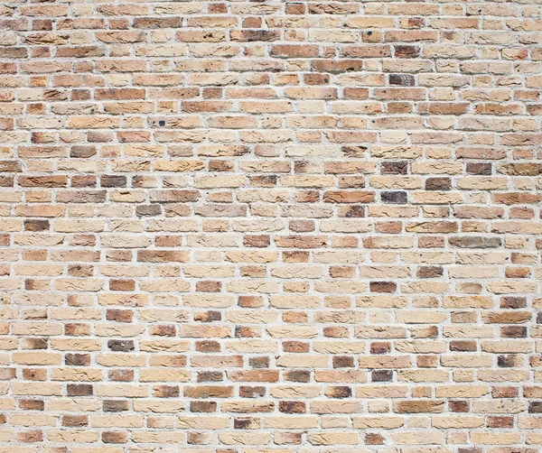 Brick wall texture — Stock Photo, Image