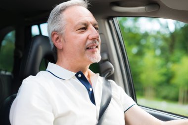 Arabasını süren adam.