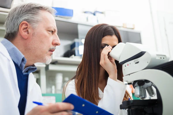 Scientists discussing medical document — Stock Photo, Image