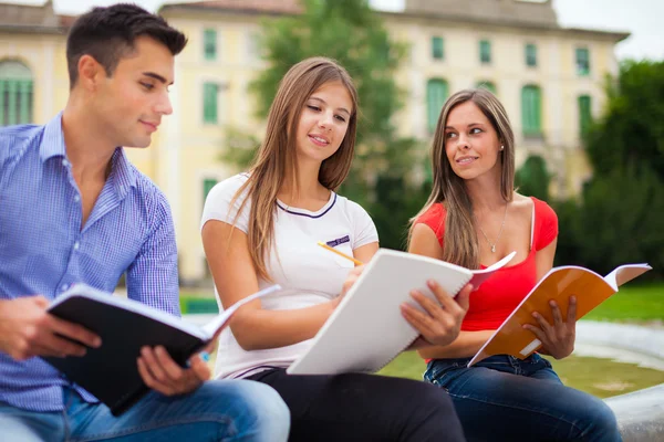 Studenten studeren in een park — Stockfoto