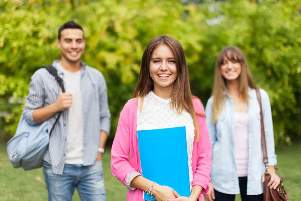 Smiling young woman Royalty Free Stock Images