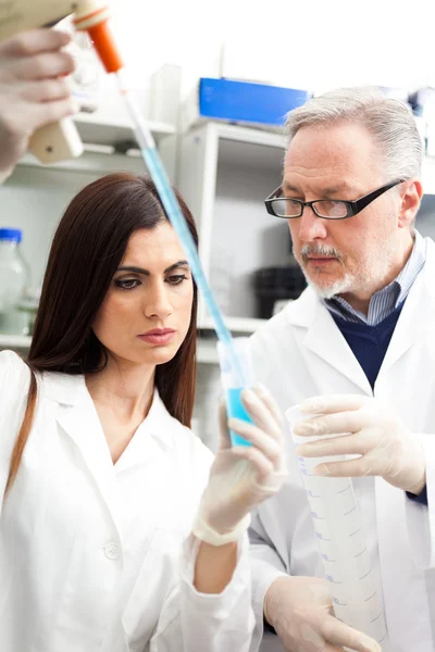 Scientists at work in a laboratory — Stock Photo, Image