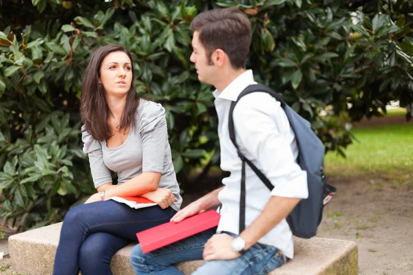 Students speaking to each other — Stock Photo, Image