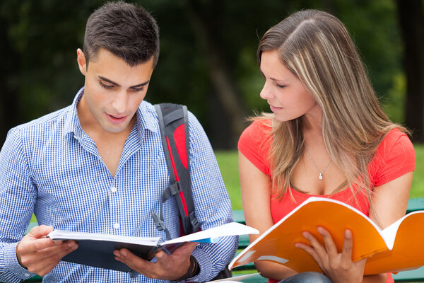 students studying outdoors