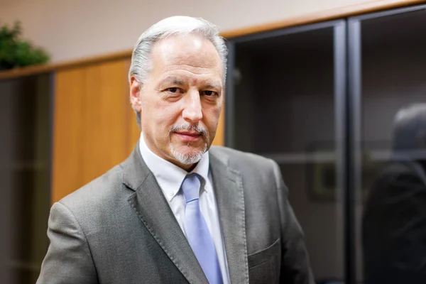 Senor zakenman in office — Stockfoto