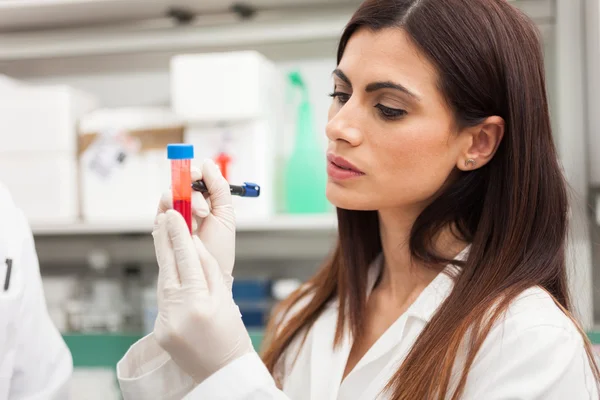 Médico escrevendo em uma amostra de sangue — Fotografia de Stock