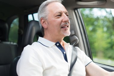 Arabayı süren adam.