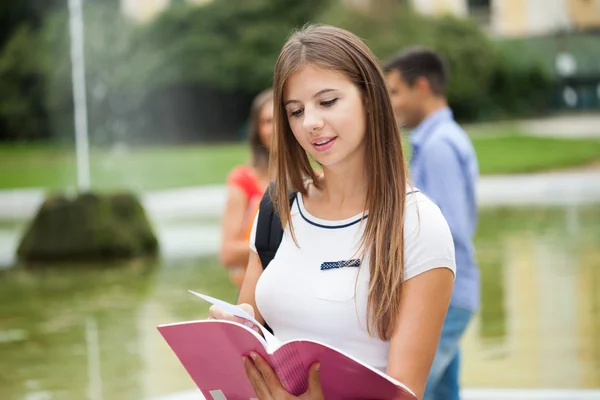 Lächelnder Student liest Buch — Stockfoto