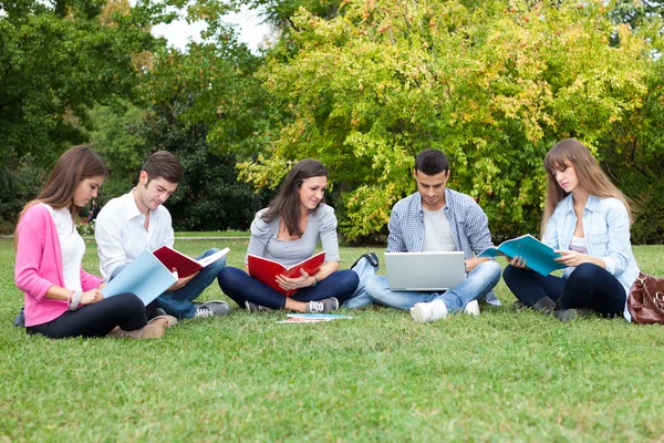 Students studying outdoor Stock Photo