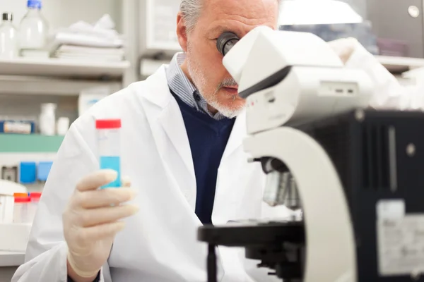 Investigador en el trabajo en laboratorio — Foto de Stock