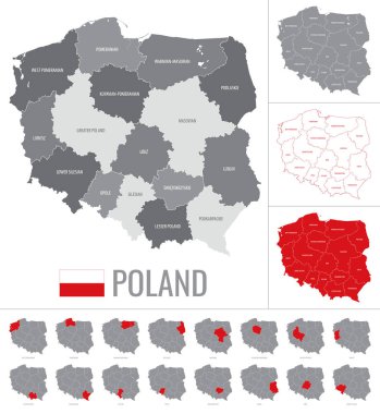 Beyaz zemin üzerinde bayrak bulunan Polonya bölgelerinin vektör haritası