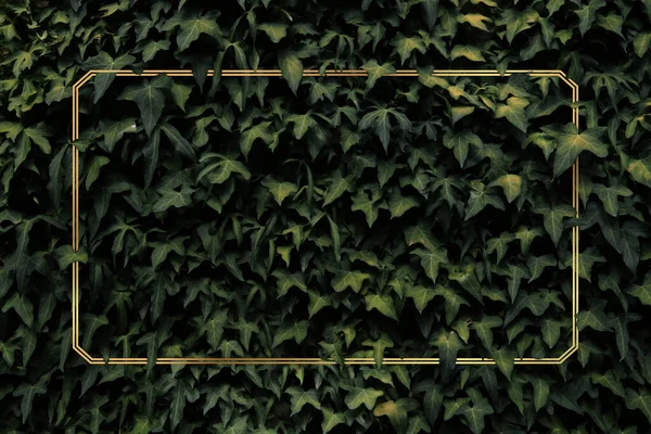 緑の葉の植物のレトロな背景に金の金属フレーム 夏の花の配置 — ストック写真