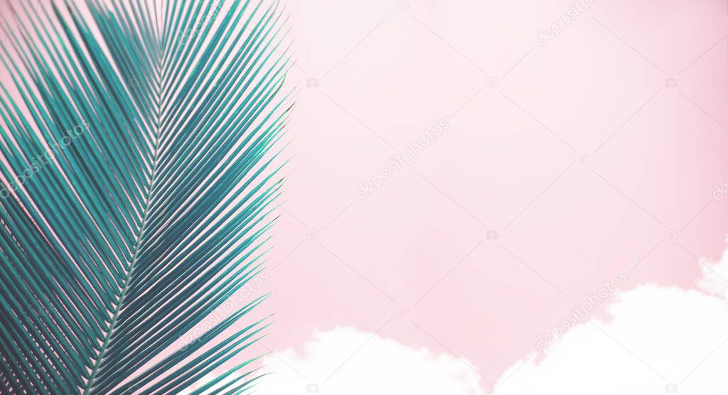 Surreal illustration with tropical plants, large palm leaves in blue and pink clouds, abstract background