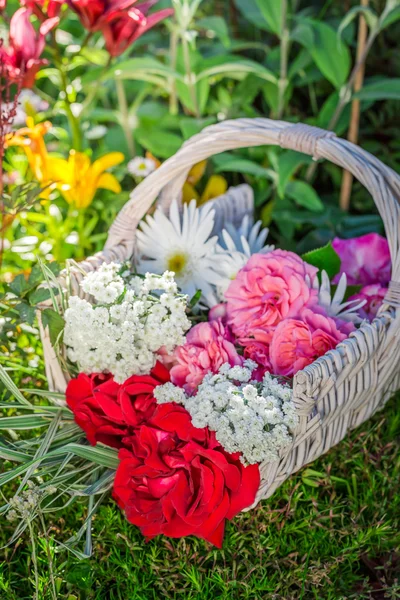 Свежеобрезанные цветы в корзине — стоковое фото