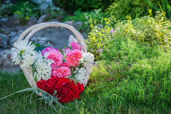 Flores recém-cortadas em cesta no jardim de verão — Fotografia de Stock