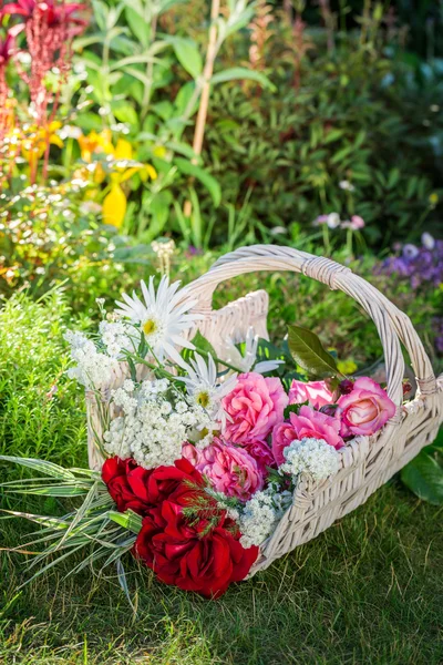 Свежевырезанные красочные цветы в солнечном саду — стоковое фото