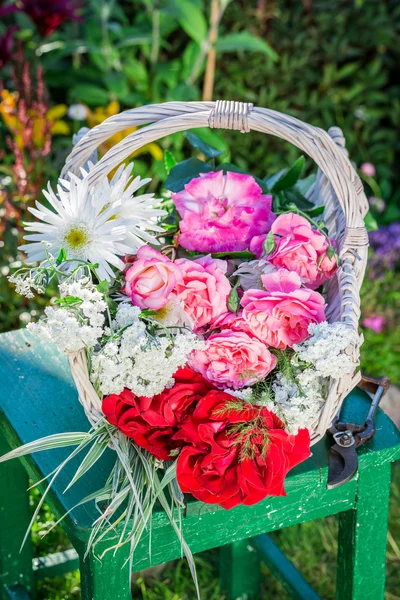 Красивые красочные цветы в саду — стоковое фото