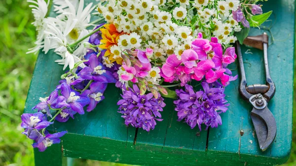 Maravillosas flores de colores en el jardín — Foto de Stock