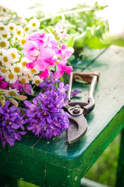 Recién cortado varios tipos de flores en el jardín soleado — Foto de Stock