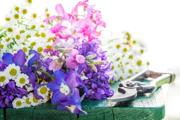 Hermosos varios tipos de flores en el jardín soleado — Foto de Stock