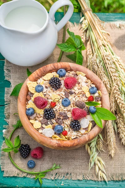Terveellinen aamiainen marja hedelmiä ja maitoa — kuvapankkivalokuva