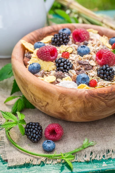 Frisk granola med bærfrukt og melk – stockfoto