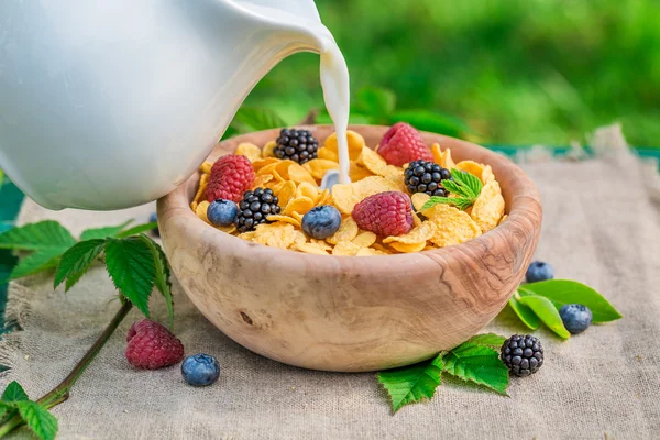 Tasty cornflakes with berry fruits and milk in garden — Stock Photo, Image