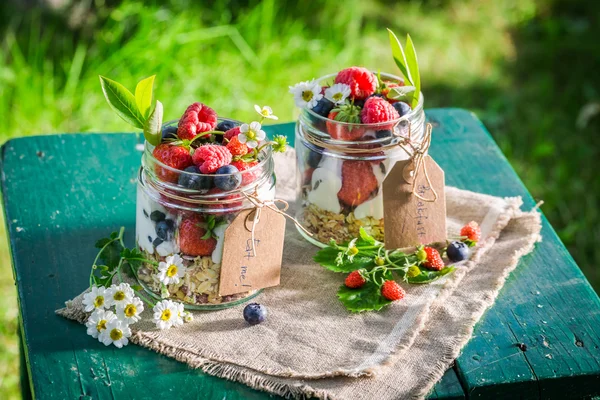 Sabroso muesli con yogur y frutas de bayas en un día soleado — Foto de Stock