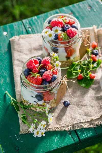 Muesli saporito con frutti di bosco e yogurt in giardino — Foto Stock