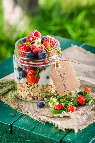 Tasty granola with berry fruits and yogurt in garden — Stock Photo, Image