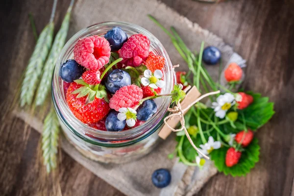 Muesli saludable con yogur y frutas de bayas en el jardín —  Fotos de Stock