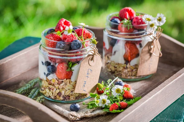 Healthy muesli with yogurt and berry fruits in sunny day — Stock Photo, Image