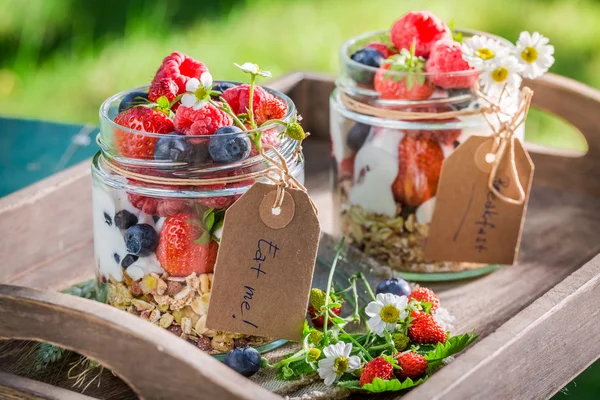 Zdrowe muesli z owoców jagodowych i jogurt w ogrodzie — Zdjęcie stockowe