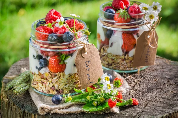 Healthy granola with berry fruits and yogurt in garden — Stock Photo, Image