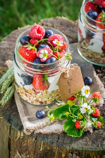 Fresh breakfast with berry fruits and yogurt in sunny day — Stock Photo, Image