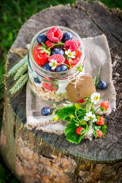 Φρέσκο μούσλι με φρούτα μούρων και γιαούρτι στον κήπο — Φωτογραφία Αρχείου