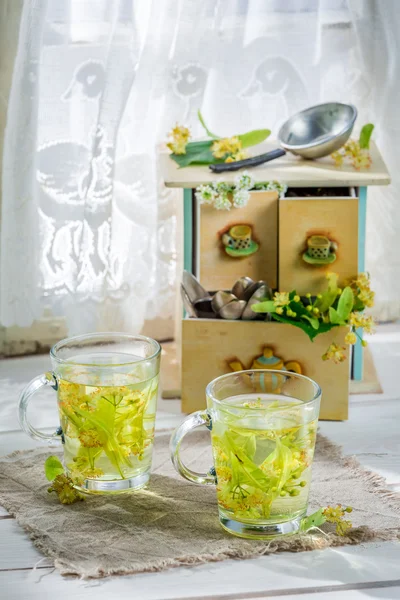 Healthy tea with honey in summer day — Stock Photo, Image