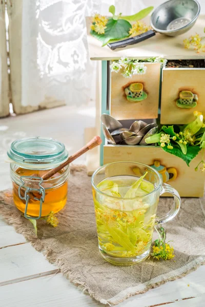 Fresh linden tea with honey in summer day — Stock Photo, Image