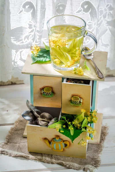 Исцеление липы чай с медом в солнечный день — стоковое фото